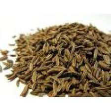 CARAWAY OIL - Spice Oils